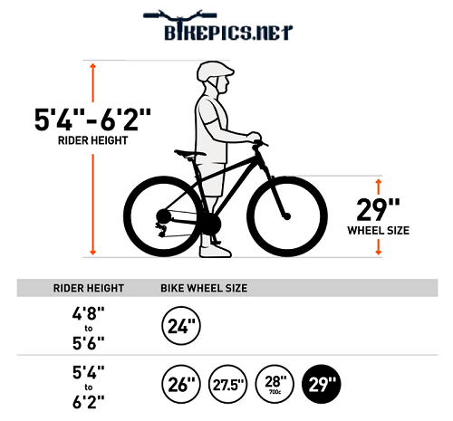 What Size Rider is Right for 29er Frame Sizes